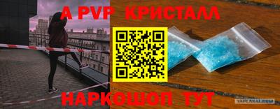 стаф Краснодар