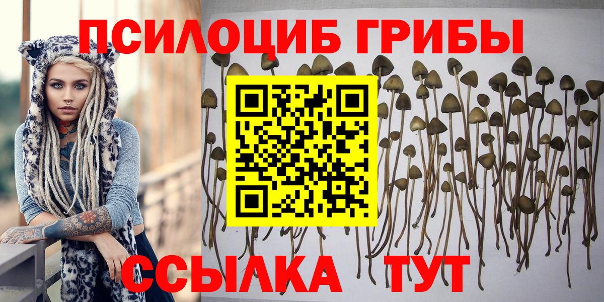 Псилоцибиновые грибы MAGIC MUSHROOMS Выкса