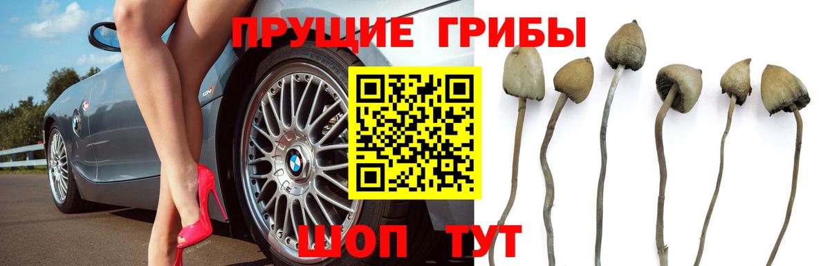 Псилоцибиновые грибы ЛСД  Вход с VPN  Выкса  Псилоцибиновые грибы мухоморы 